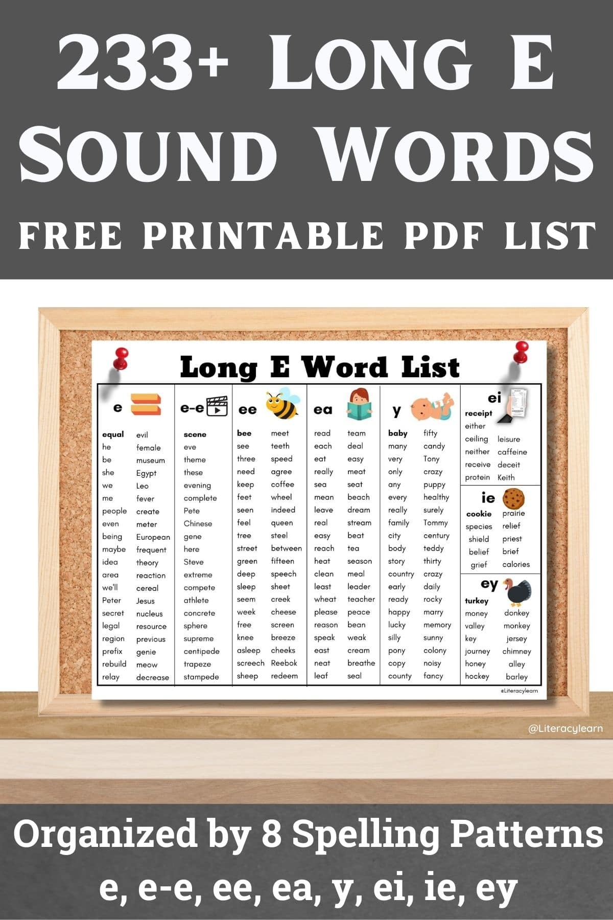 Corkboard featuring Long E vowel sound words list. Large font '233 Long E Sound Words"