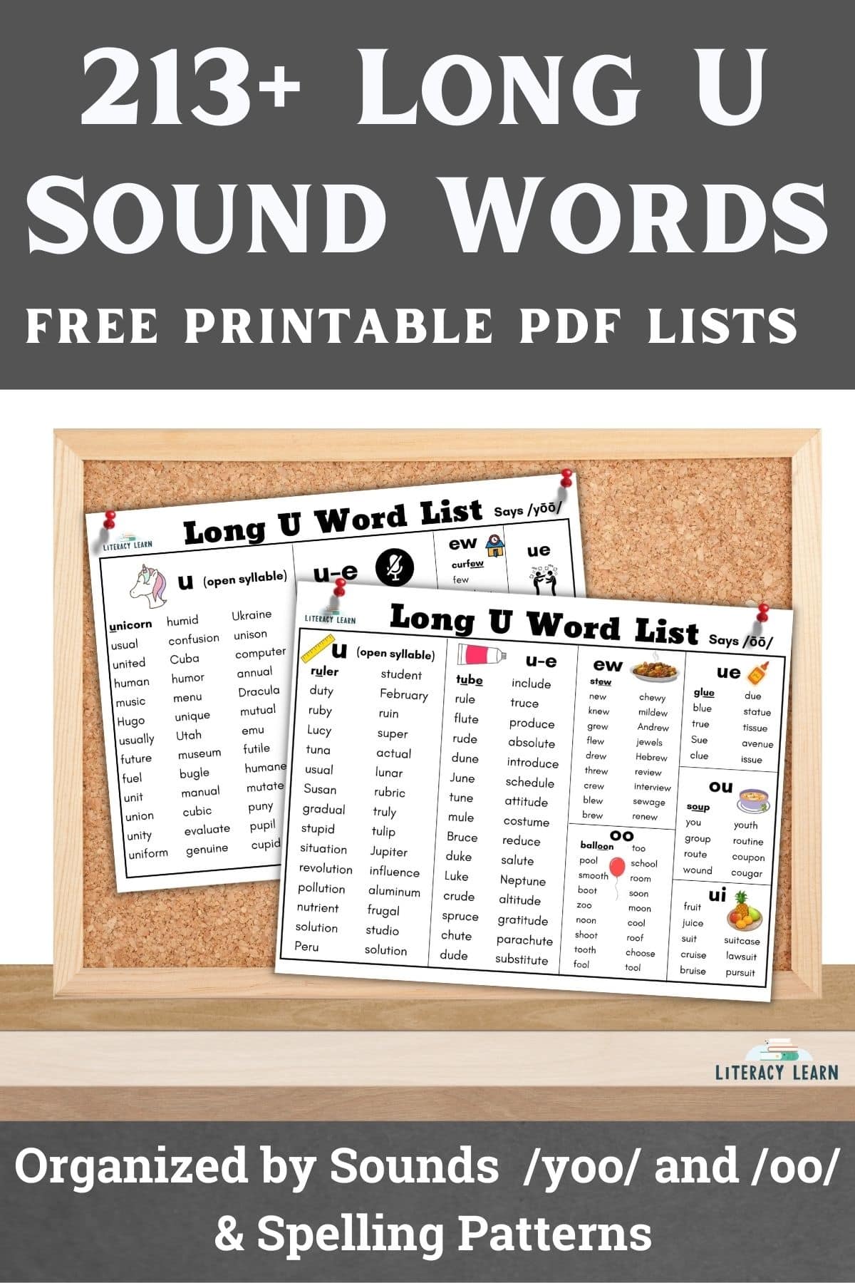 Corkboard graphic with 2 Long U Worksheets hanging with 213+ Long U Words displayed.