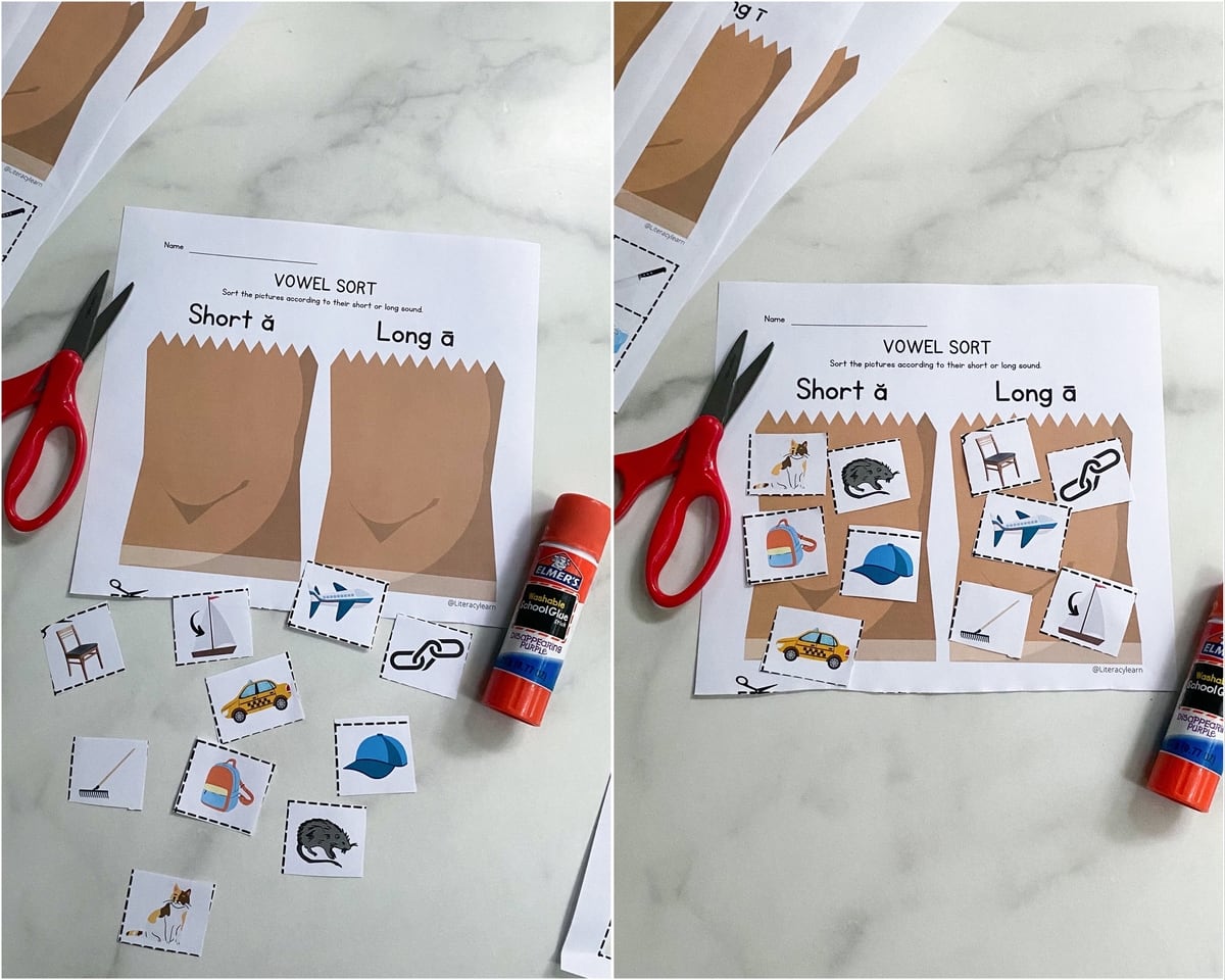 The worksheet printed with the pictures cut and pasted in the correct columns.  