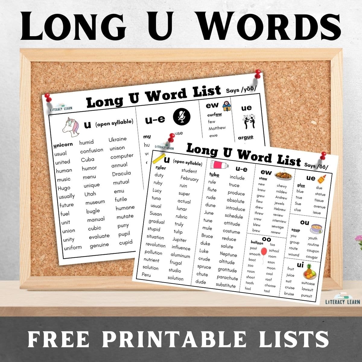 A corkboard with two Long U Worksheets with 213 Long U words displayed.