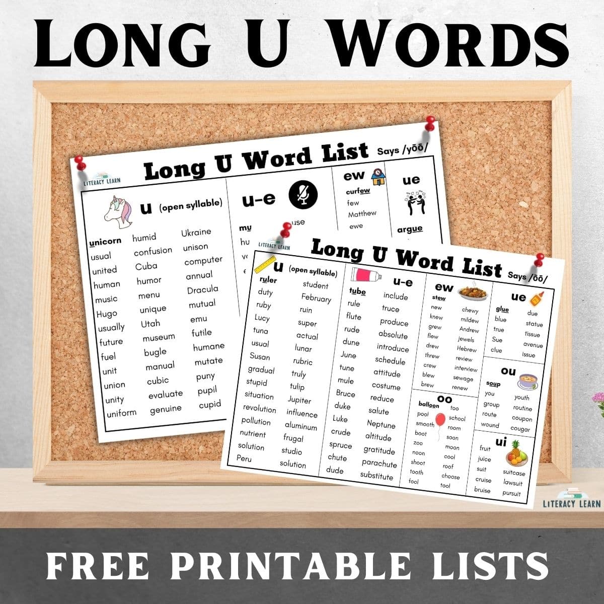 Long U Vowel Sound Words Featured Image 