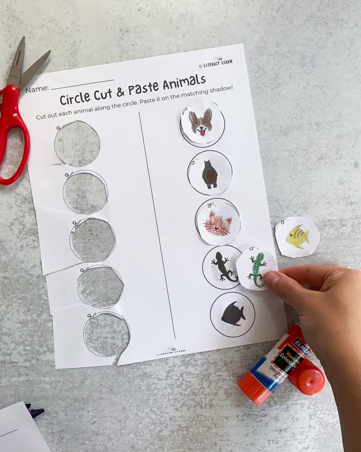 The completed cut and paste animal match worksheet.