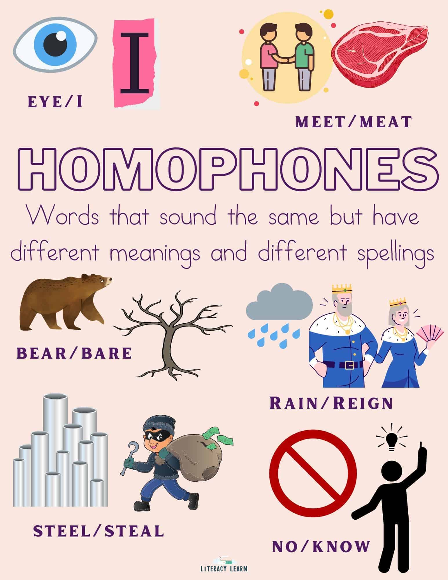 Homophone graphic with definition and homophone words and pictures. 