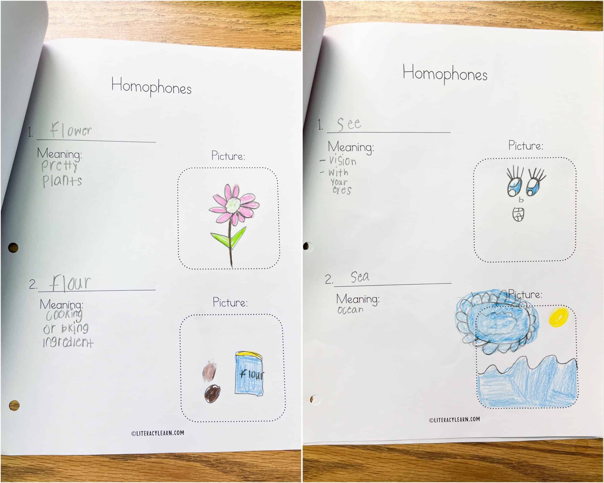 Two samples of student worksheets with homophone words, meanings, and picture.