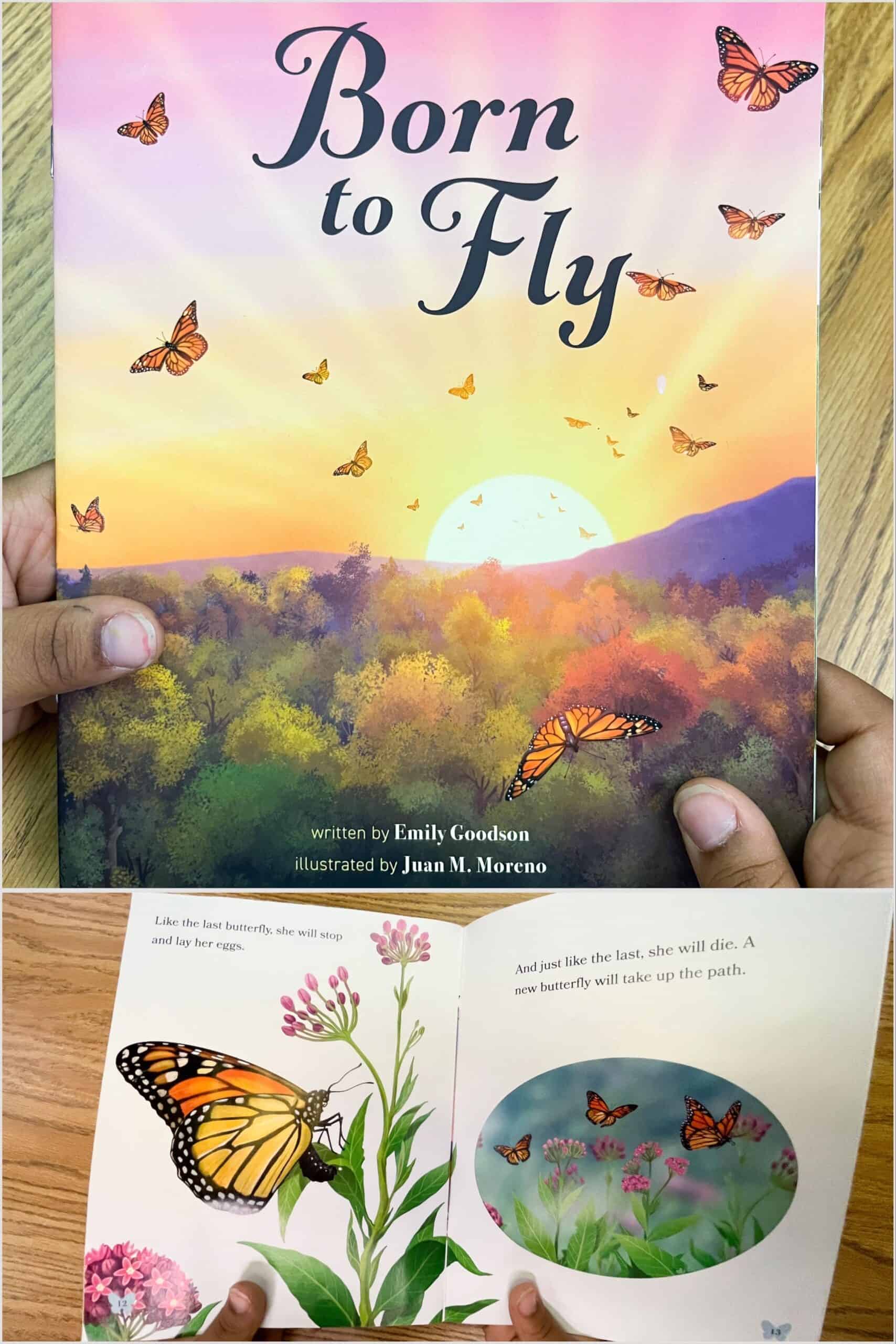 Collage of a cover and open decodable book called "Born to Fly" 