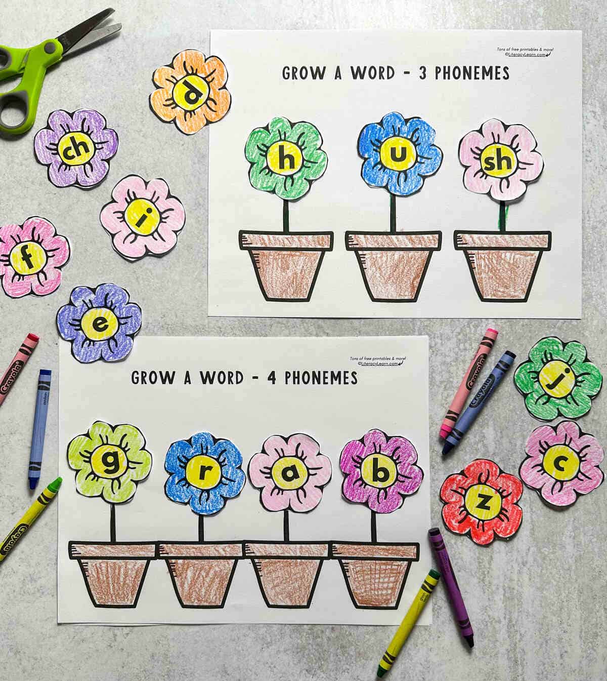 The 3 and 4 phoneme word building printables with lots of colorful letter flowers.