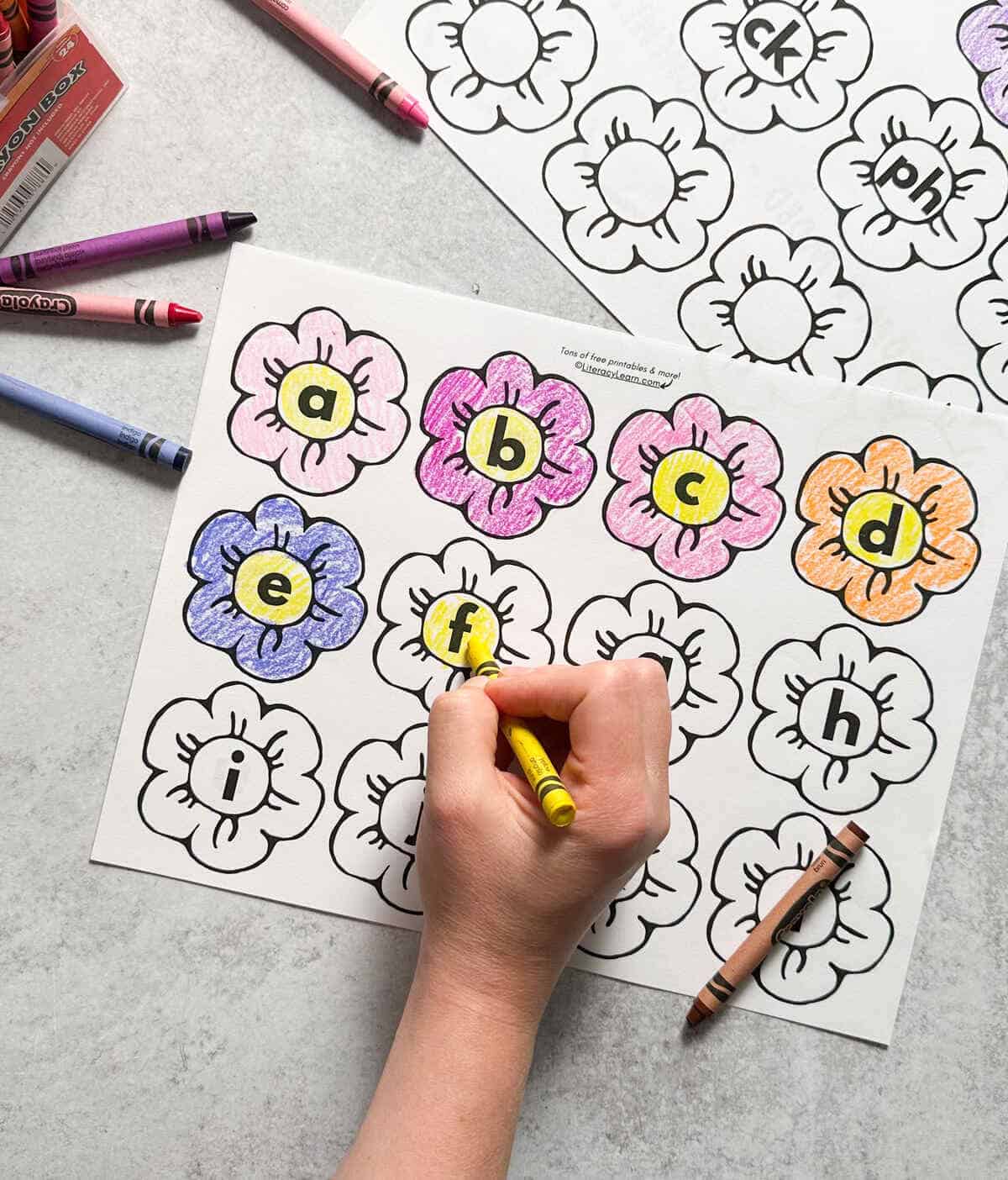 A child coloring in a page of flowers with a letter on each flower. 