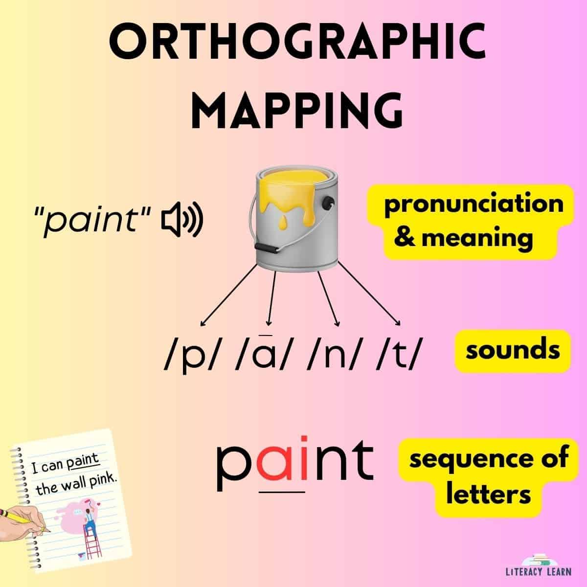 Graphic showing one word "Paint" orthographically mapped from speech to print.