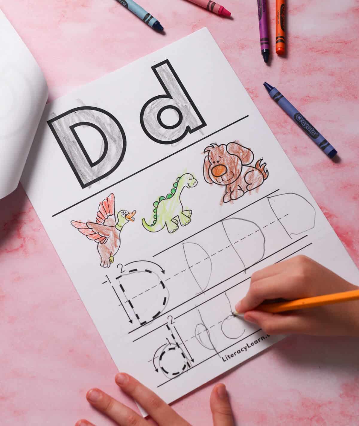 A child's hands writing the letter d inside the Alphabet Booklet.