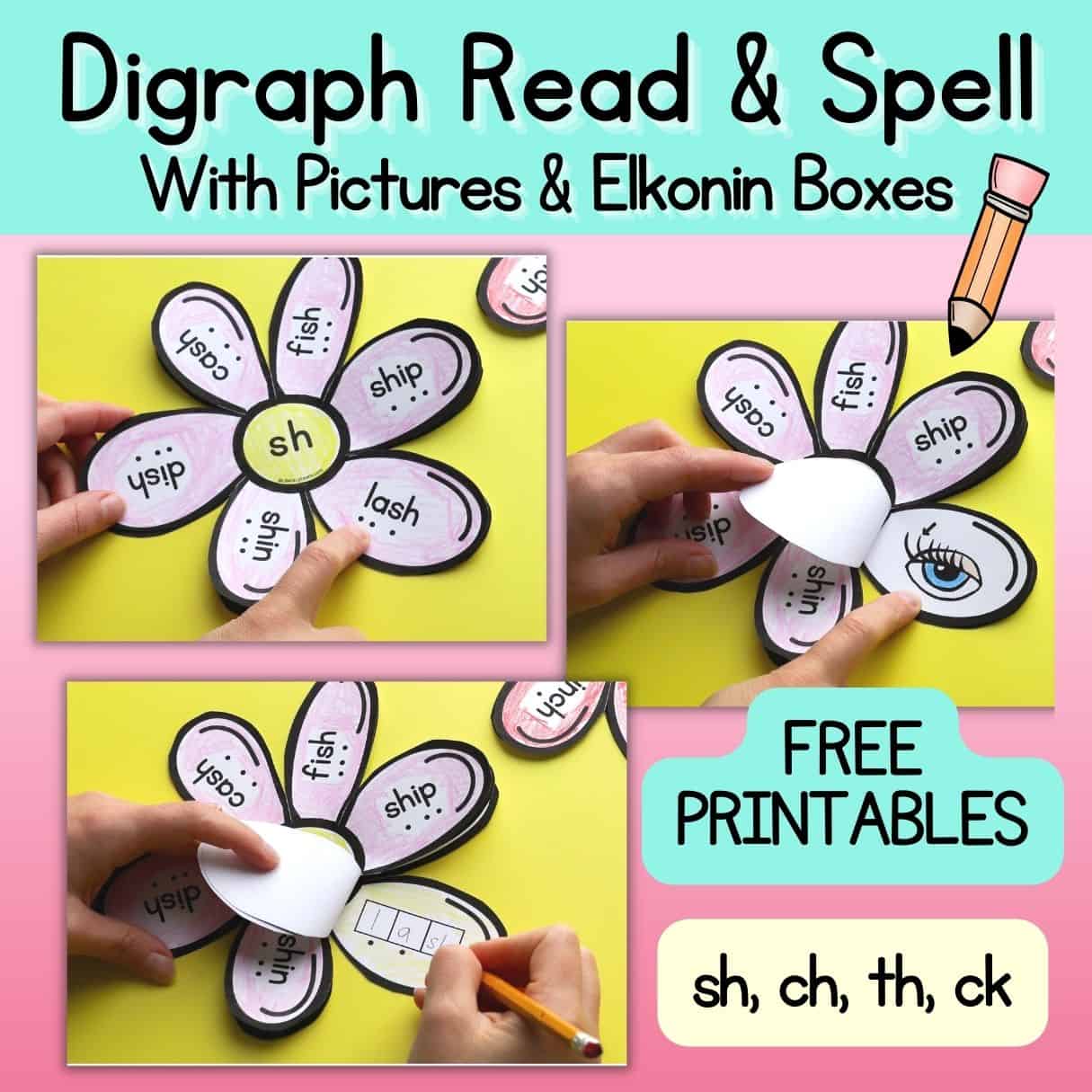 Graphic with three photos of printed, colored flowers with decodable digraph words. 