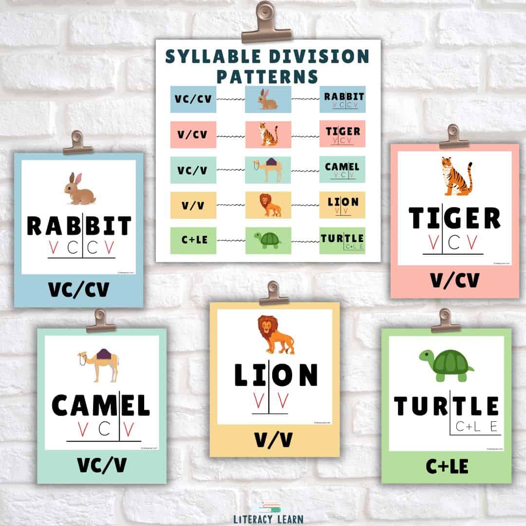 Whitewashed brick background with large and mini-posters showing the syllable division patterns with animals.
