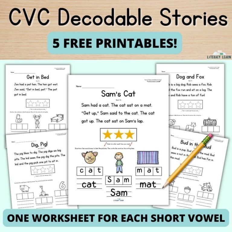 Free CVC Word Decodable Stories for Reading & Spelling