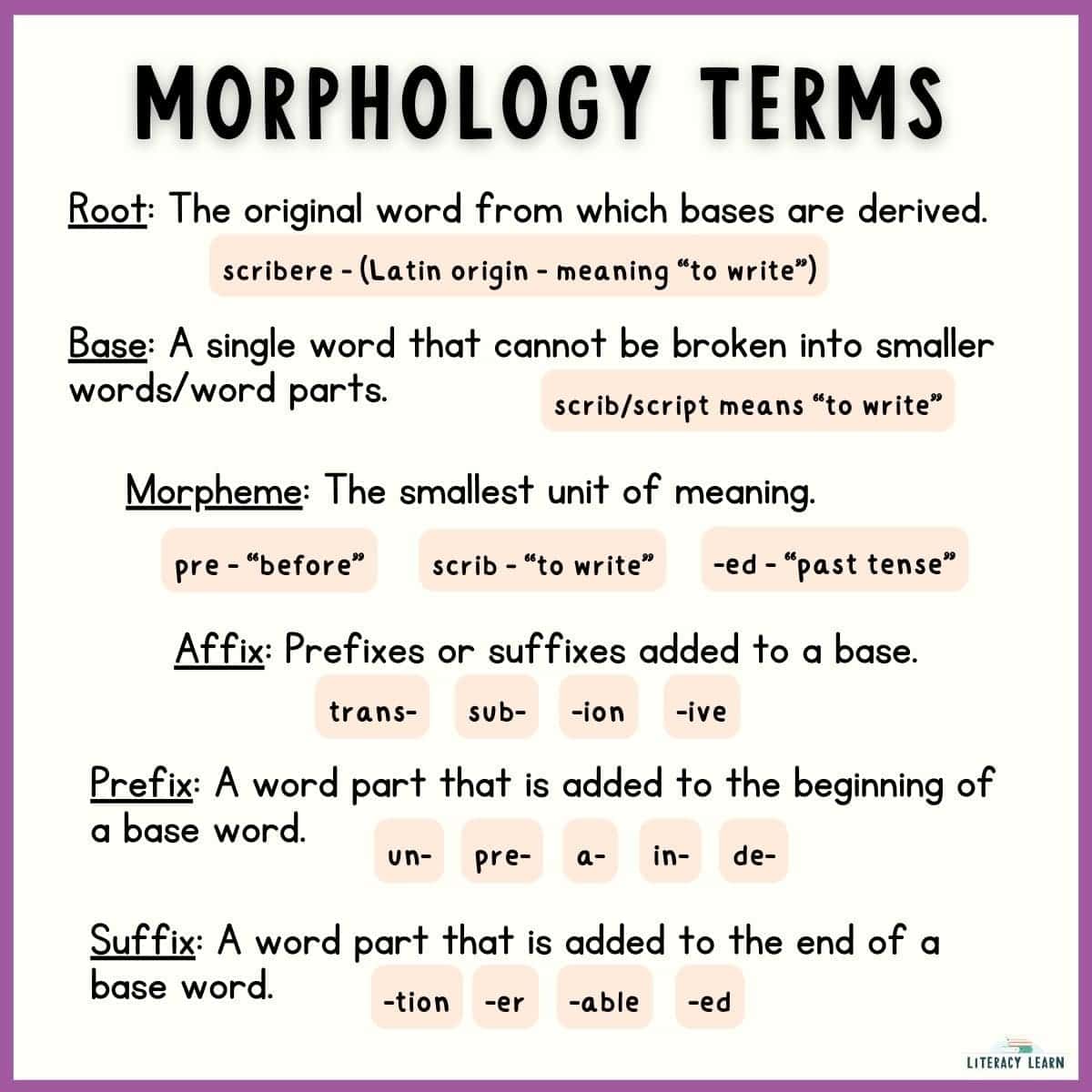 Graphic explaining definitions of important morphology terms.
