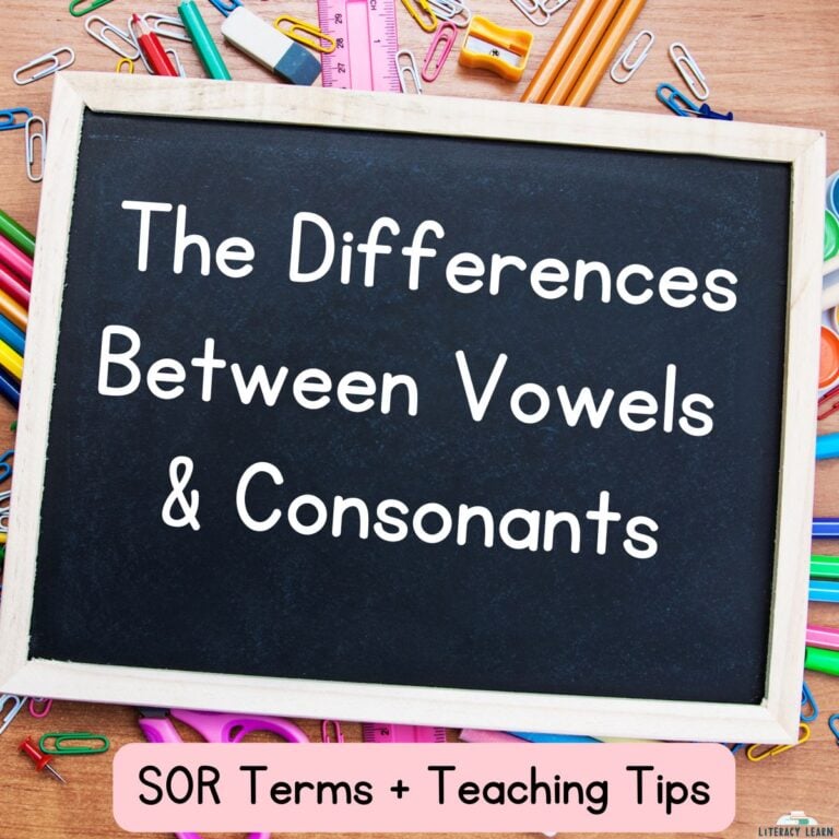 The Differences Between Vowels and Consonants