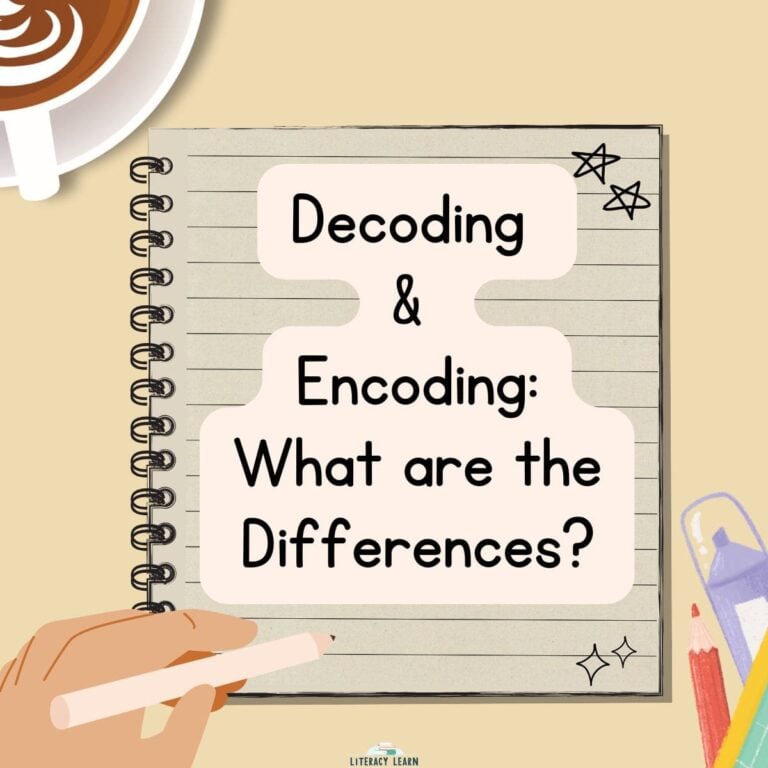 Decoding & Encoding: What Are the Differences?