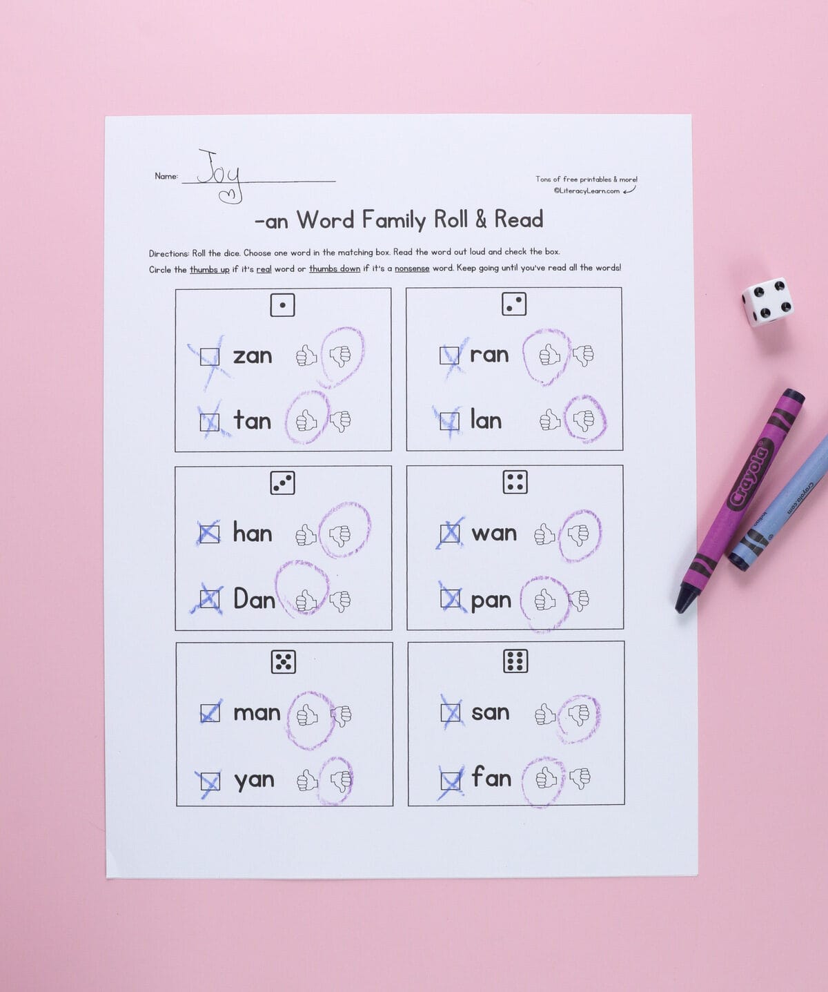 A printed roll-and-read -an words worksheet. 