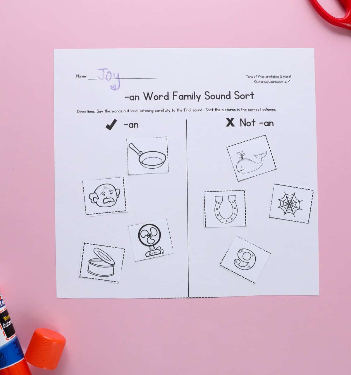 A printed -an sound sort with pictures cut out and placed in the correct columns. 