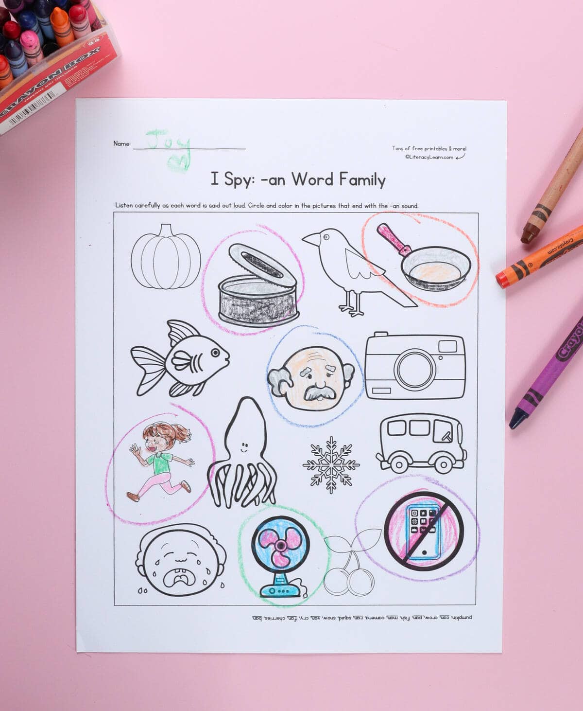 A printed and completed I Spy -an pictures worksheet with crayons.