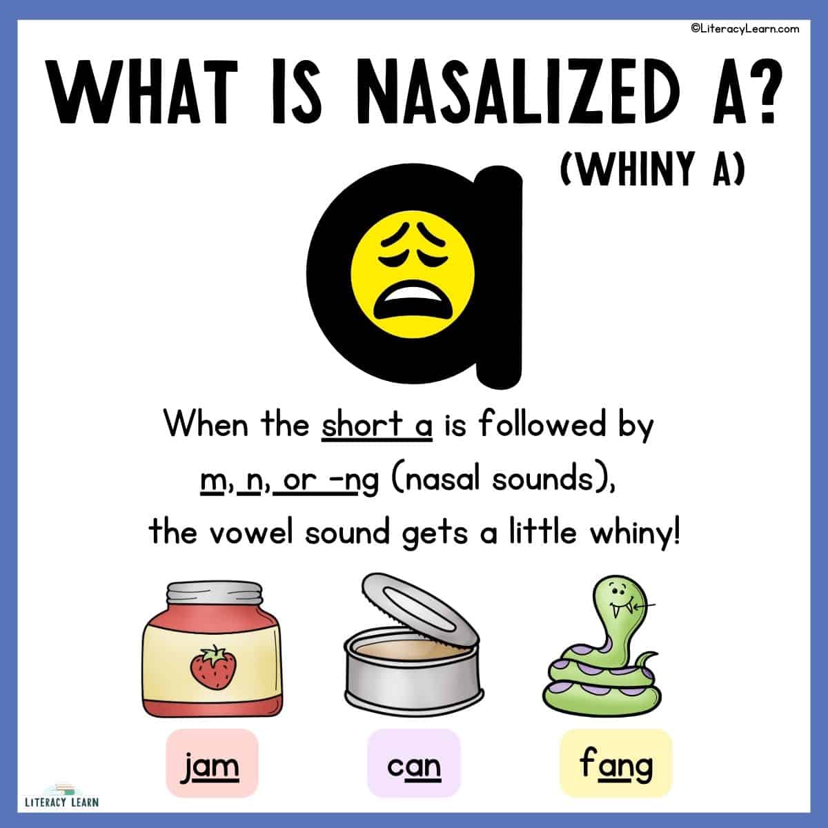 Colorful graphic titled "What is nasalized a?" with definition and examples.