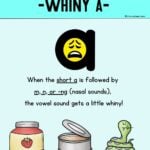 Colorful graphic titled "What is nasalized a?" with definition and examples.