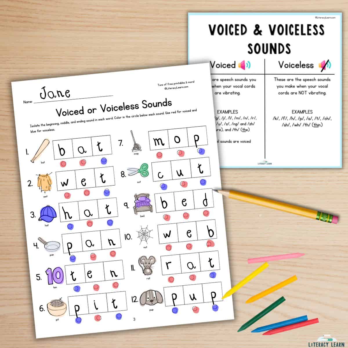 Graphic showing voiced and voiceless worksheet and mini-poster with crayons and pencil.