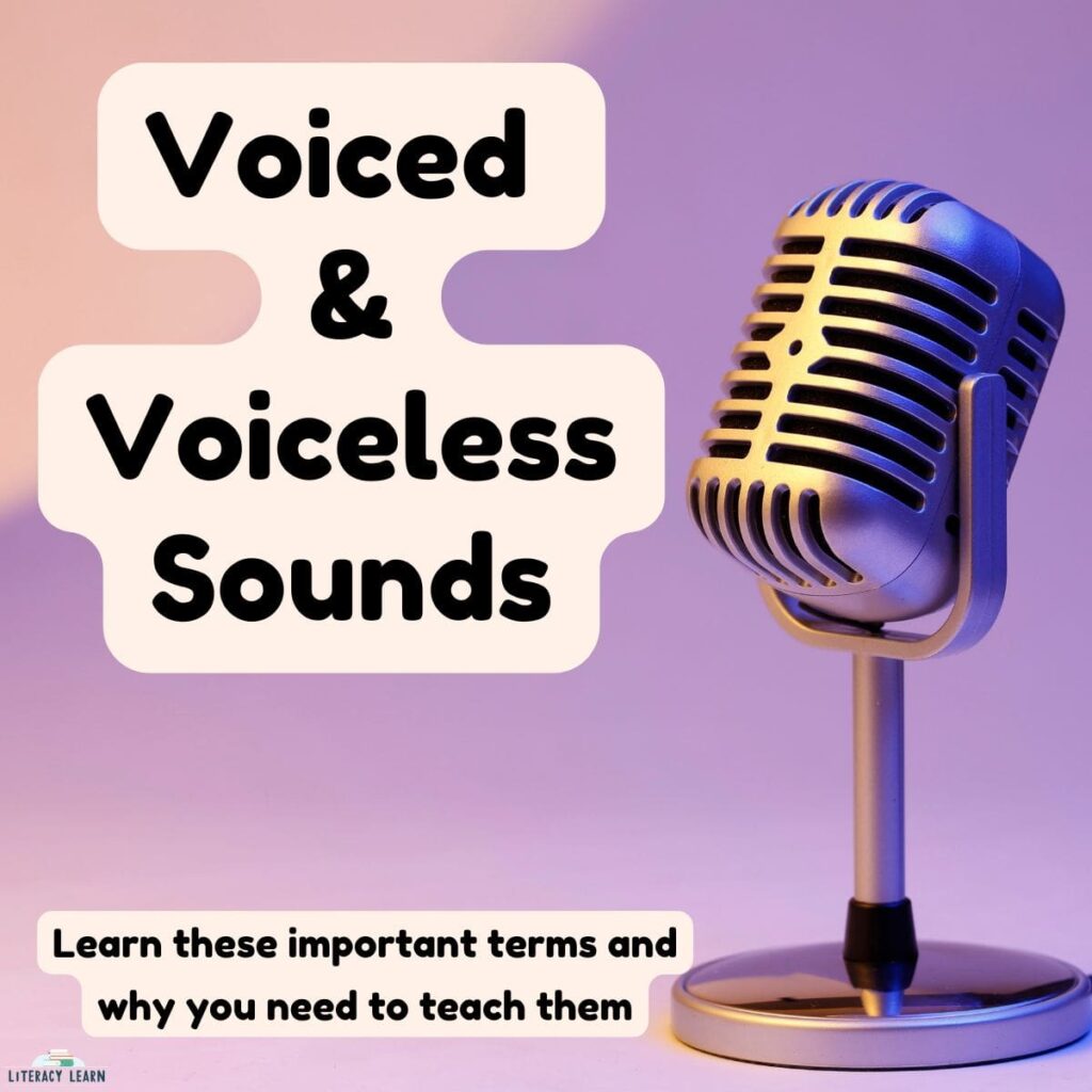 Title "Voiced and Voiceless Sounds" on a pink and purple background with a microphone.