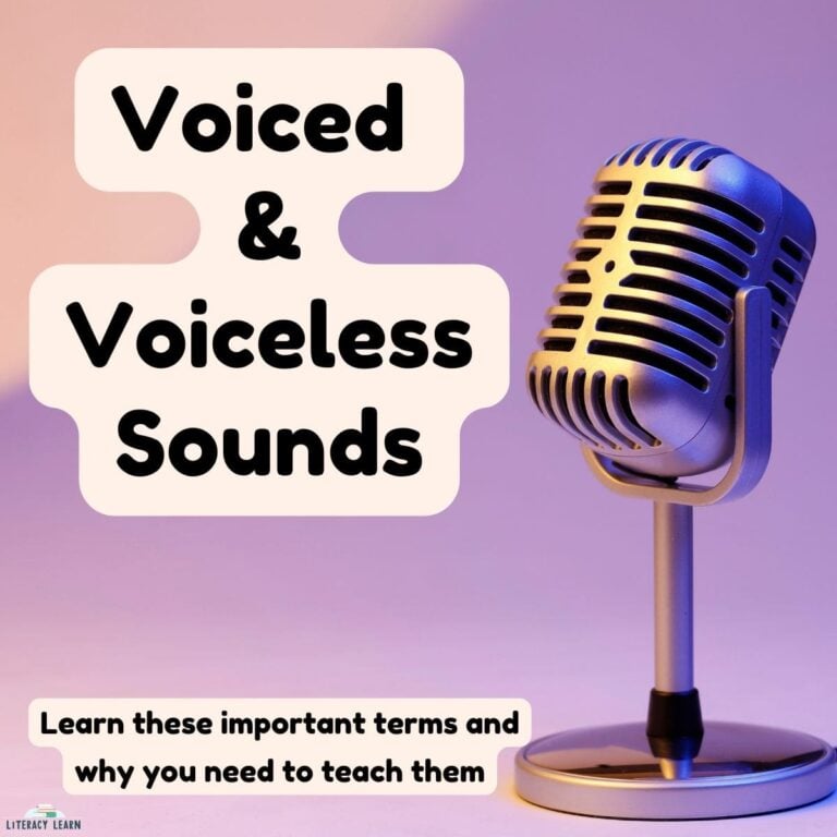 Voiced and Voiceless Sounds