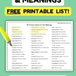 Pinterest graphic with image of a printable list of 50 common idioms and meanings.