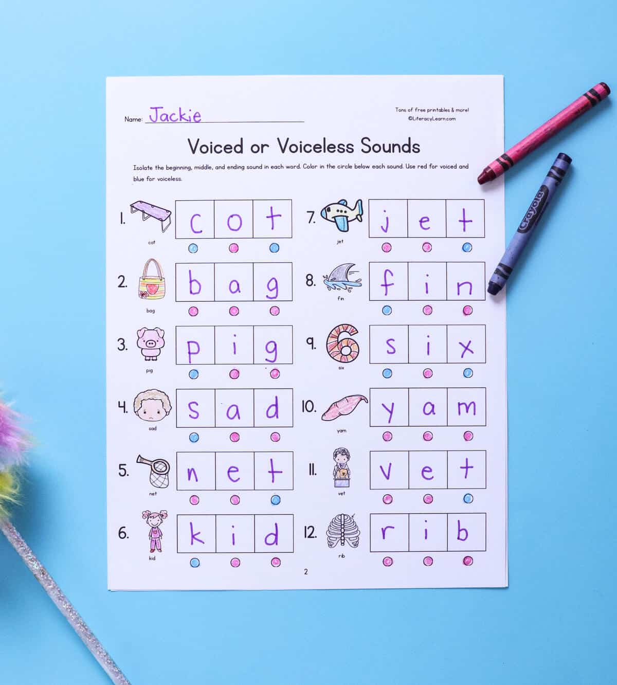 Printed and completed Voiced or Voiceless Sounds worksheet with crayons.