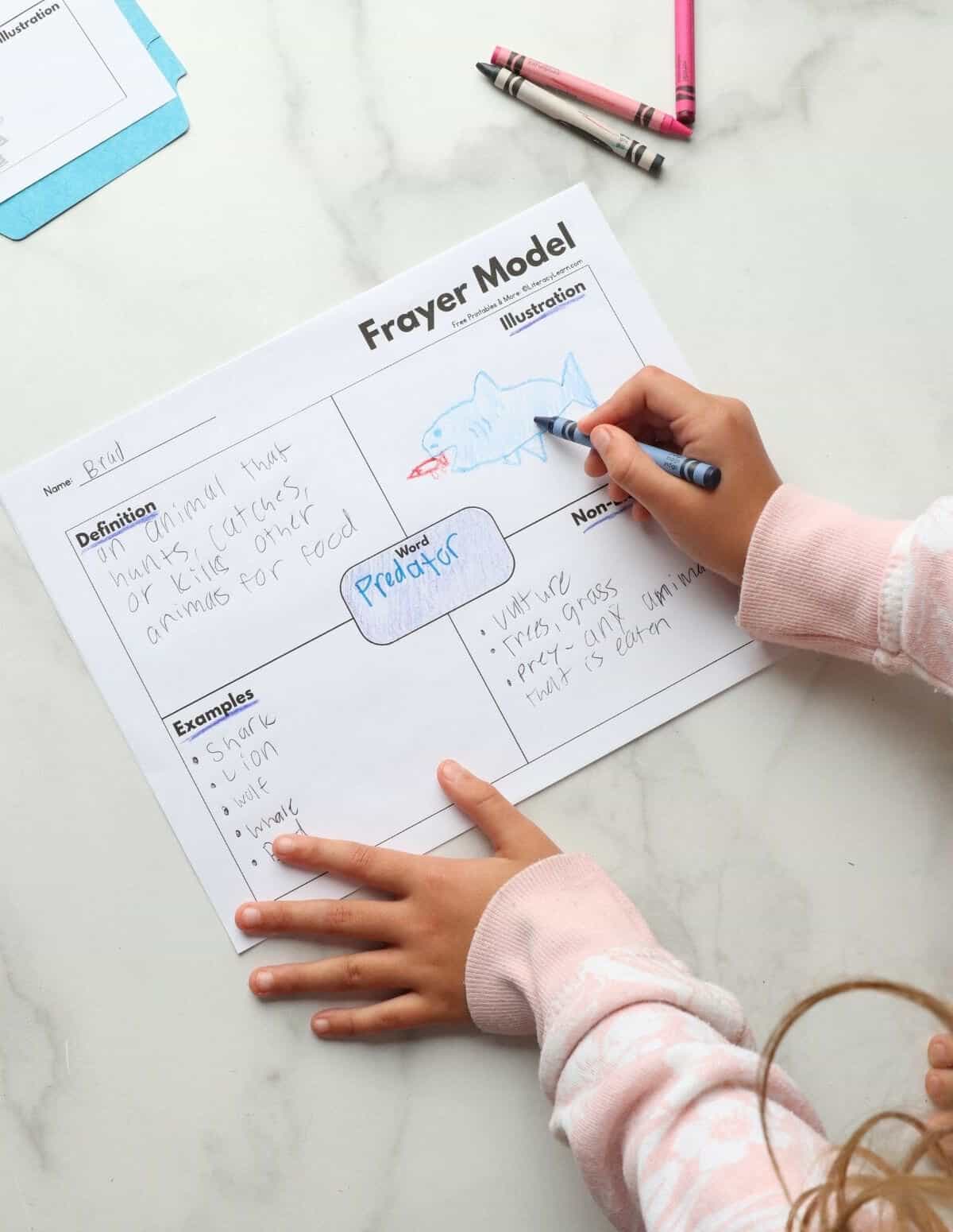 A child's hands writing on a Frayer Model Basic printable for the word, "Predator."