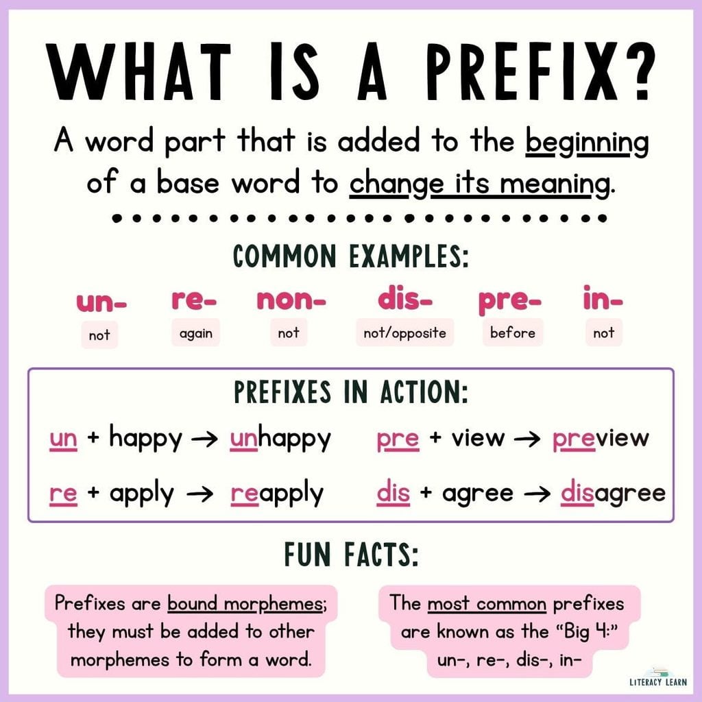 Informative graphic entitled "What is a prefix" with definition, examples, and facts.